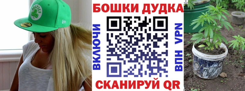 Где можно купить наркотики Навашино Псилоцибиновые грибы  Alpha-PVP  Меф мяу мяу  Cocaine  Бошки Шишки  Амфетамин 