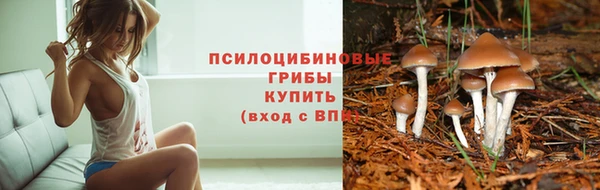гидропоника Бородино