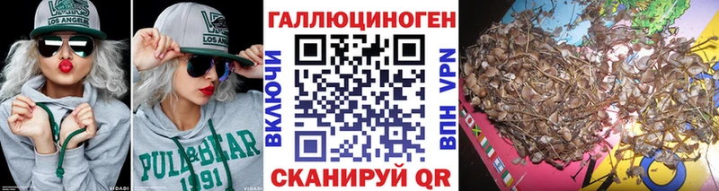 Псилоцибиновые грибы прущие грибы Навашино